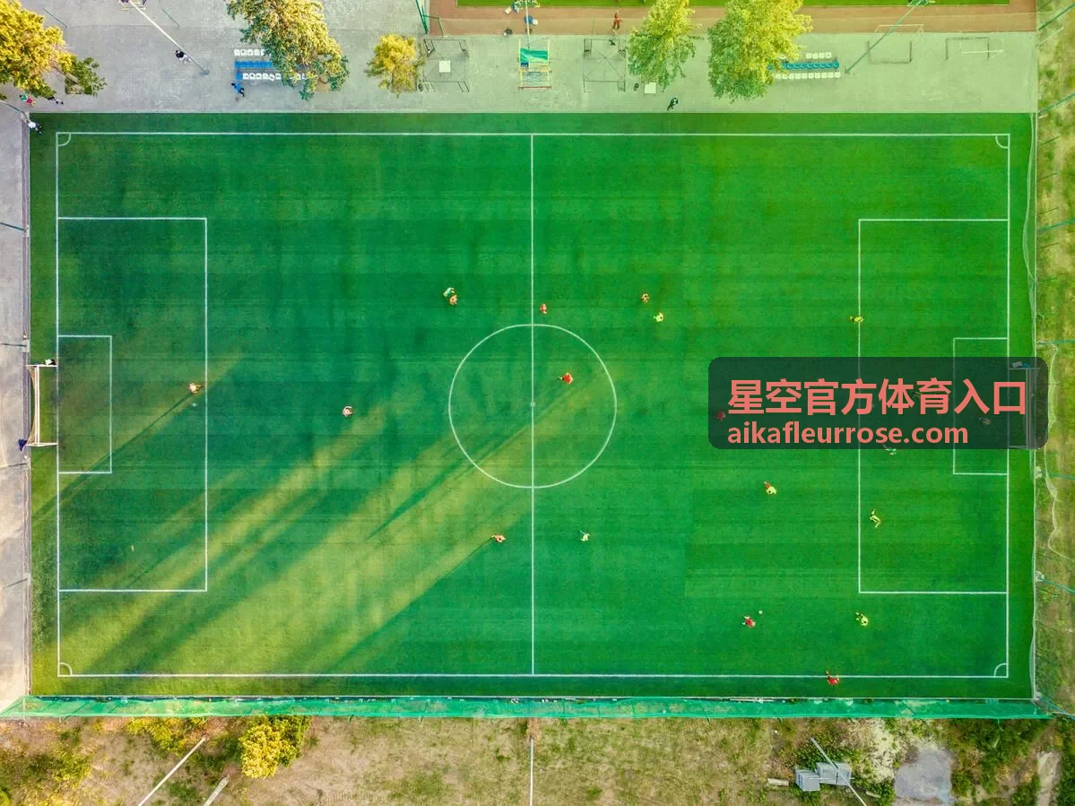 星空官方体育入口会员等级权益介绍