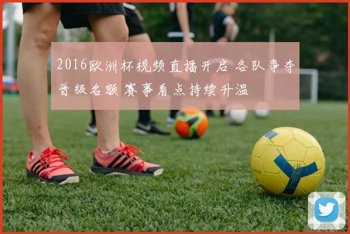 2016欧洲杯视频直播开启 各队争夺晋级名额 赛事看点持续升温