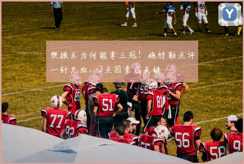 樊振东为何能拿三冠！施特勒点评一针见血，3点因素成关键